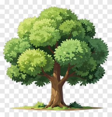 Colorful Tree PNG