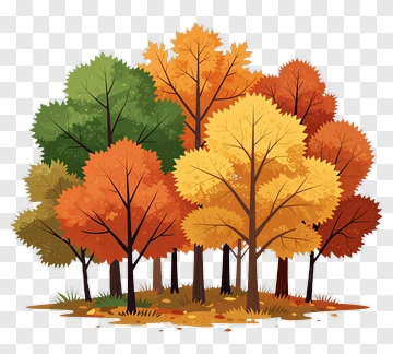 Colorful Autumn Trees PNG