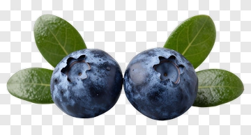 Fresh Blueberries With Leaves PNG