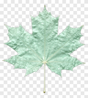 Felt Maple Leaf PNG