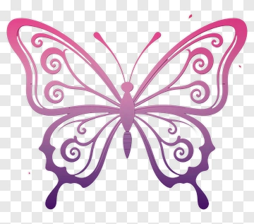 Colorful Butterfly With Decorative Patterns PNG