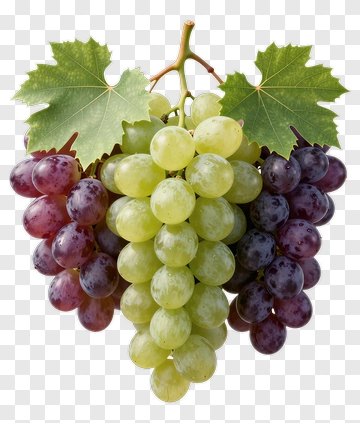 Bunch Of Grapes With Green And Purple Varieties PNG