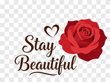 Red Rose With Stay Beautiful Text PNG
