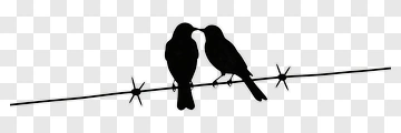 Silhouette Birds On A Barbed Wire PNG