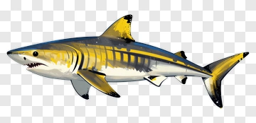 Cartoon Shark With Yellow Accents PNG