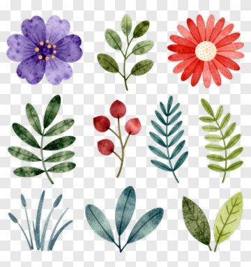 Colorful Watercolor Flower And Leaf Collection PNG