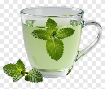 Mint Tea In A Glass Cup PNG