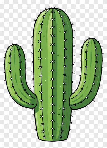 Cartoon Cactus PNG