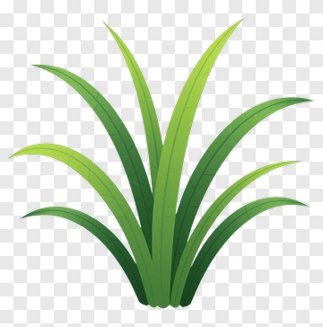 Green Grass PNG