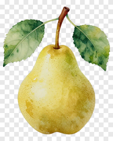 Watercolor Pear With Leaves PNG