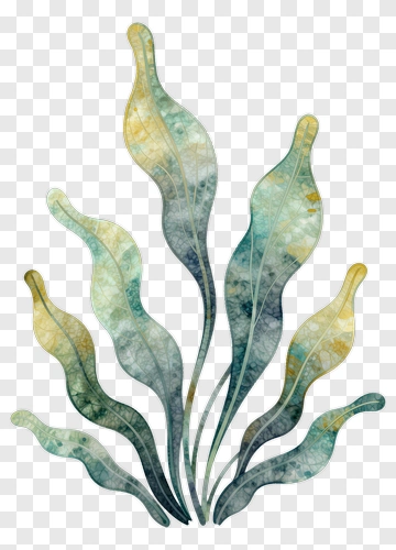 Colorful Watercolor Leaves PNG