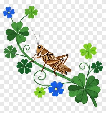 Cricket On A Green Vine With Flowers PNG