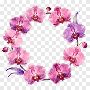 Orchid Flower Wreath PNG
