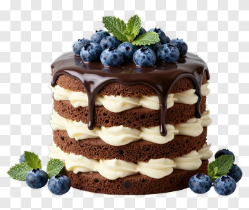 Chocolate Cake With Blueberries And Mint PNG