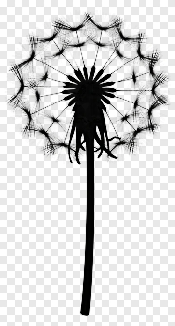 Silhouette Dandelion Flower PNG