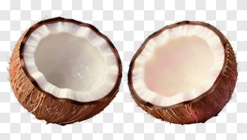 Coconut Halves PNG