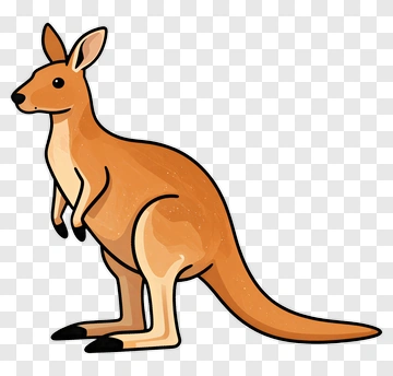 Cartoon Kangaroo PNG