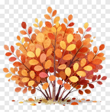 Colorful Autumn Bush PNG
