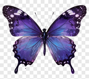 Colorful Butterfly With Purple And Blue Wings PNG