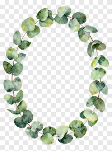 Watercolor Eucalyptus Leaf Frame PNG