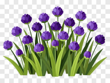Colorful Flower Bouquet PNG