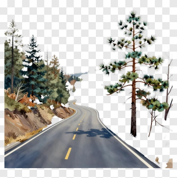 Winding Road Through A Forest PNG