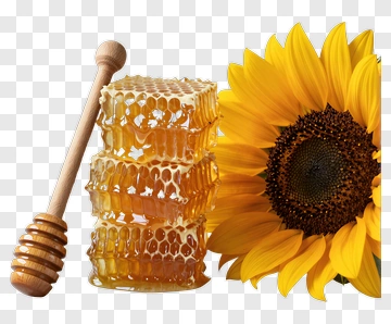 Honeycomb And Sunflower Arrangement PNG