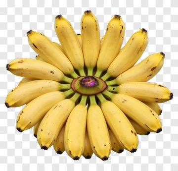 Banana Arrangement PNG