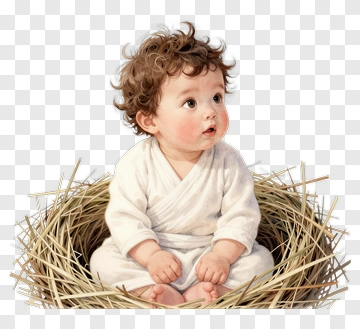 Baby Sitting In A Nest Of Straw PNG