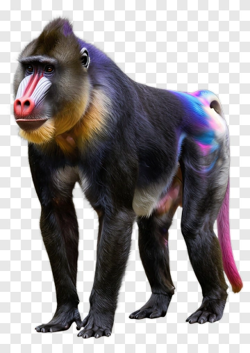 Colorful Baboon Standing Proudly PNG