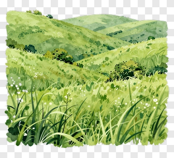 Lush Green Hillside Landscape PNG
