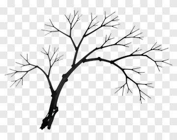 Black Silhouette Tree Branch PNG