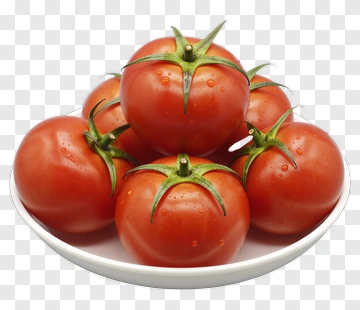 Fresh Red Tomatoes On A White Plate PNG