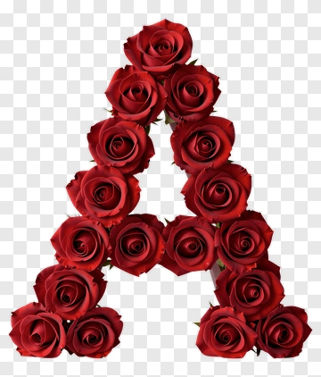 Red Roses Forming The Letter A PNG