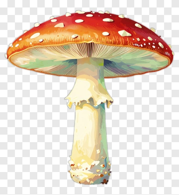 Colorful Red Mushroom PNG
