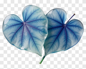 Blue Heart-Shaped Leaves PNG