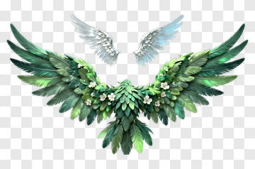 Colorful Feathered Wings With Floral Accents PNG