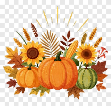 Autumn Pumpkin And Sunflower Arrangement PNG