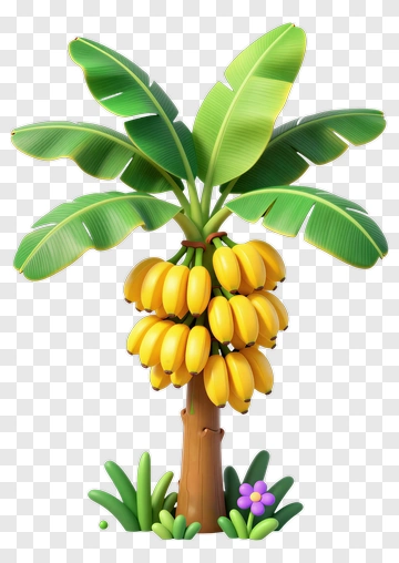 Banana Tree With Bunch Of Yellow Bananas PNG