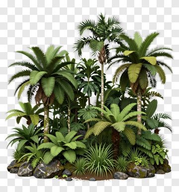 Lush Jungle Environment With Tropical Plants PNG