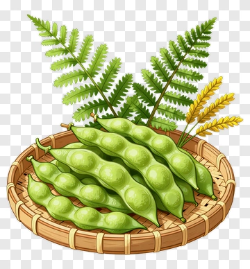 Green Edamame In A Bamboo Basket With Ferns PNG