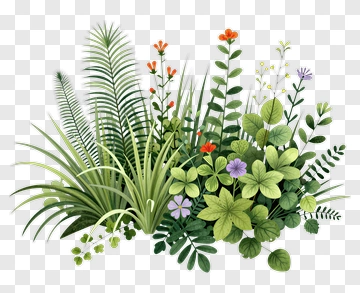 Colorful Botanical Arrangement PNG