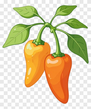 Cartoon Orange Peppers With Green Leaves PNG