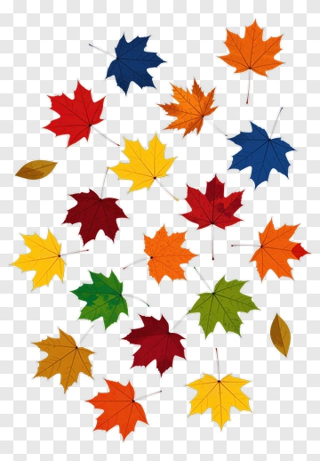 Colorful Autumn Leaves PNG