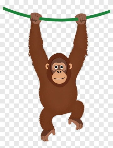 Cartoon Monkey Hanging From A Branch PNG