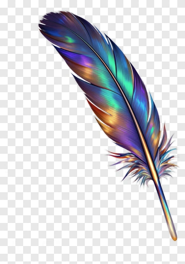 Colorful Feather PNG