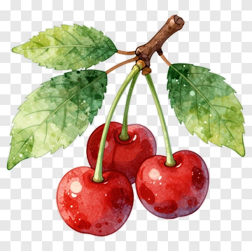Watercolor Cherry Branch With Leaves PNG