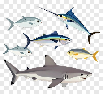 Cartoon Fish Collection PNG