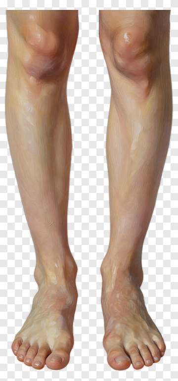 Realistic Human Legs And Feet PNG