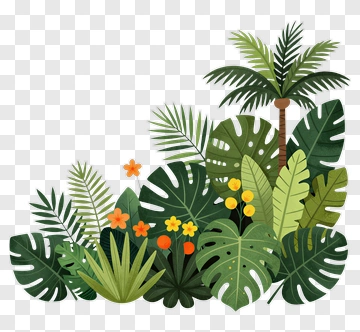 Tropical Plant Composition PNG